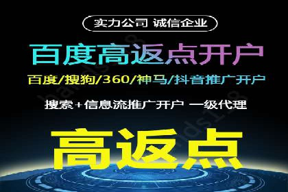 SEM托管服务，成功案例展示转化优势